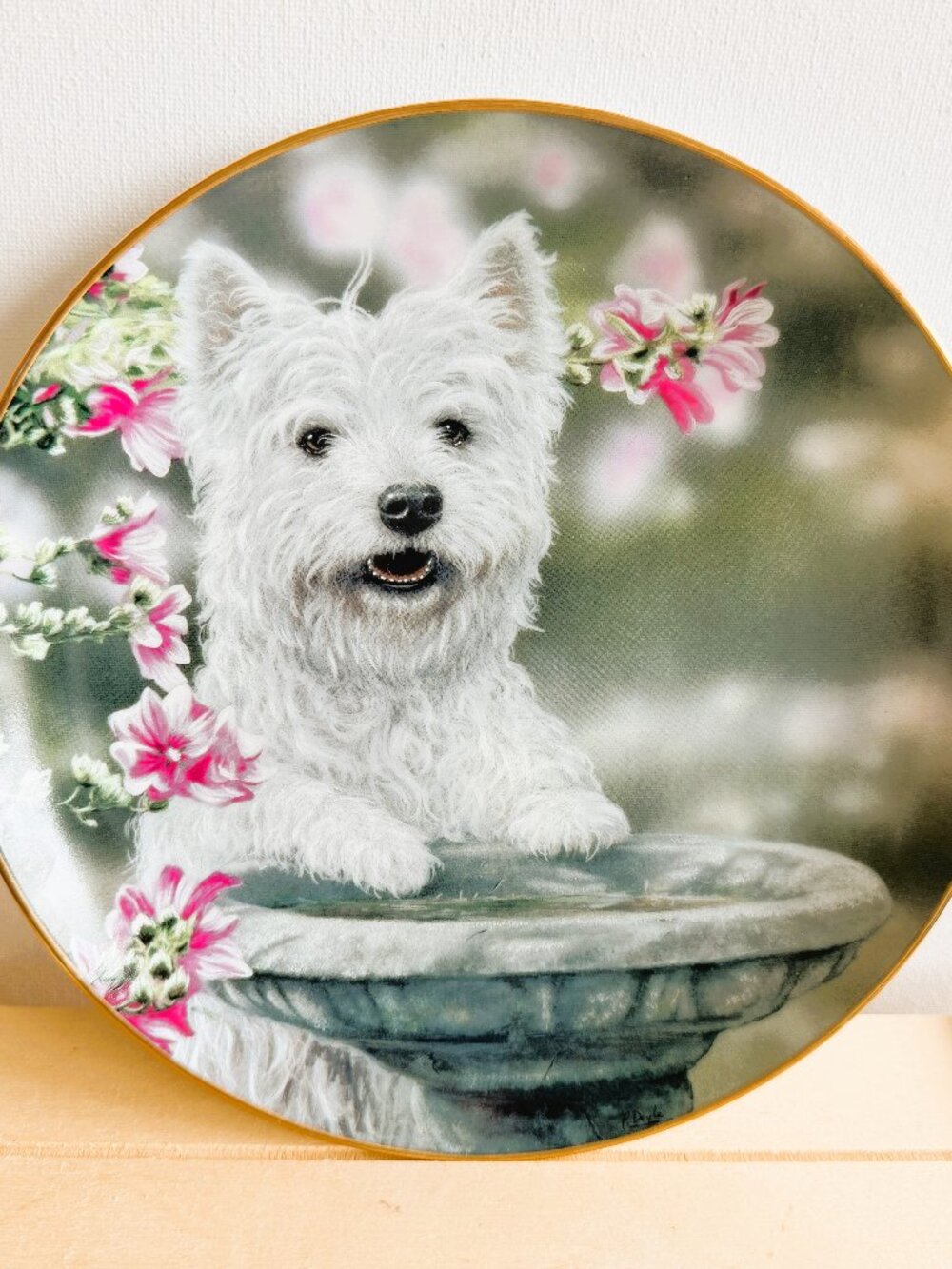 West Highland White Terrier Vintage Decorative Plates By Paul Doyle